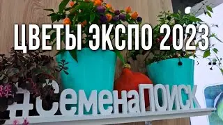 Международная выставка 