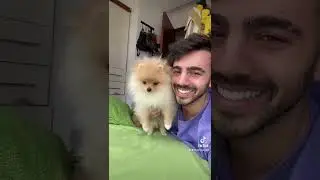 así reaccionó mi perro 😂