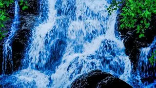 White Noise Waterfall Sounds for Sleeping Live Stream