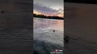 Девушка прыгает в воду