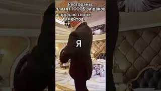 тимейты раки #shorts #meme #мелстройврек #мем