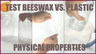 Can Beeswax Wraps Replace Plastic Wraps? | Science Project