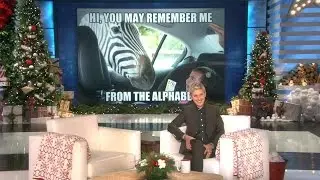 Ellen's Winter Mood Booster