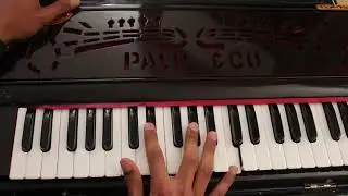Маяпурский мотив киртан. Аккорды для физгармони. Harmonium kirtan chords class Mayapur Tune