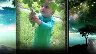 Раннее развитие.   Я познаю мир.  Шпаргалка для родителей.