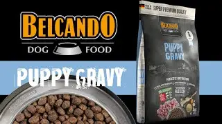 Belcando Puppy Gravy - немецкий сухой корм для щенков