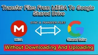 How to Transfer Files From MEGA To Google Shared Drive