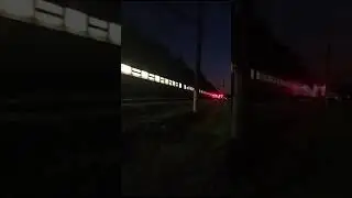 7 сентября 2024 г.