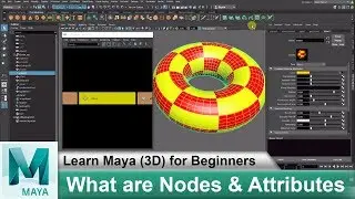 What are Nodes & Attributes in Maya | Learn Maya 3D Animation for Beginners Tutorials #57
