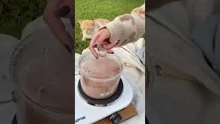 حليب بالشوكولاته