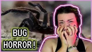 INSECT HORROR MOVIES THAT WILL MAKE YOUR SKIN CRAWL