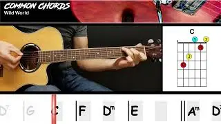 Wild World - Cat Stevens | EASY GUITAR CHORDS | Common Chords