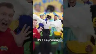 Watch out for bin chickens, on bin night! 🗑️ #thewiggles #binchicken #ibis