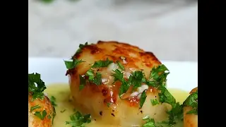 Lemon Butter Scallops | Dinner