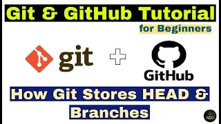 #13 - Git & GitHub Tutorial for Beginners -  How Git stores HEAD and Branches