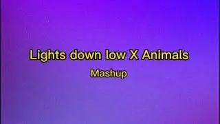 (Mashup TikTok) Lights Down low / Animals