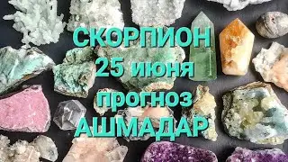 СКОРПИОН 25 июня прогноз АШМАДАР