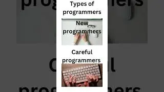 The types of programmers