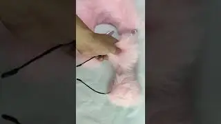 SMTASTE pink fox tail anal plug butt plug