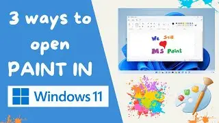 How to Open Paint in Windows 11 | 3 Step-by-Step Techniques