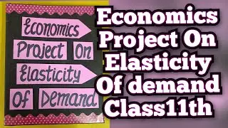 Economics Project on Elasticity of Demand Class11th CBSE