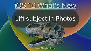 How to Lift Subject from Background of a Photo in iOS 16!