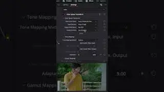 How to use Color Space Transform in Davinci Resolve