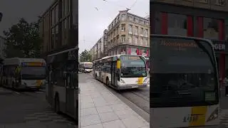 De Lijn Buses in Antwerp 🇧🇪