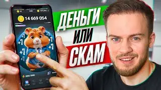 Hamster kombat, blum и другие тапалки. Как заработать “БЕСПЛАТНЫЕ ДЕНЬГИ”?