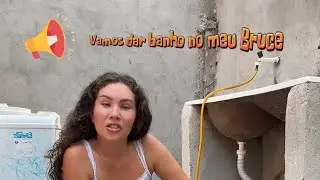 ￼ Vamos aproveitar o sol e dar um banho no meu cachorro