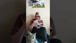 Частично правда 😅 