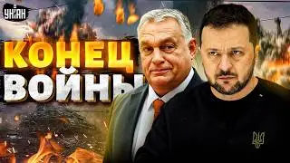 Конец войны: Зеленский назвал условия переговоров. Дружку Путина Орбану это не понравилось