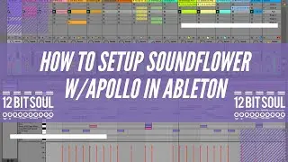 How to Set Up Soundflower w Apollo In Ableton