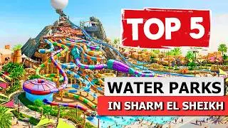 TOP 5 Family Hotels with Water Parks in Sharm El Sheikh Egypt