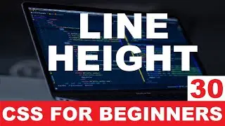 CSS Tutorial 30 : Line height