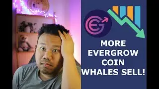 EverGrow Coin (EGC) Flash Crash! Did you Panic Sell?