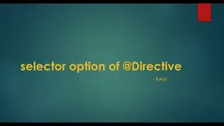 Selector option of @Directive