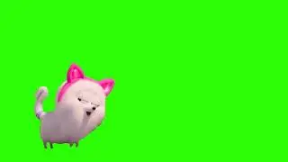 Footage on a green background reindeer litlle funny dog. Футаж тайная жизнь домашних животных.Шпиц
