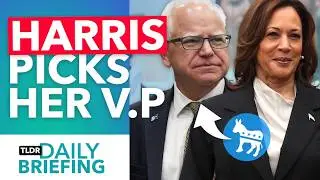 Why Kamala Harris Picked Tim Walz for Vice-President