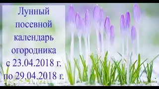 Лунный посевной календарь с 23.04.2018 года по 29.04.2018 года.