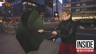 Is This $350 Umbrella Really Indestructible?