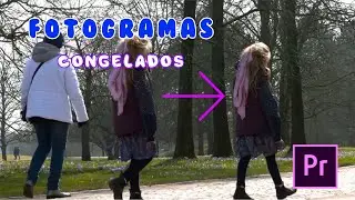 Cómo hacer Efecto Fotogramas Congelados (Freeze Frames) - Tutorial Adobe Premiere Pro 2020.