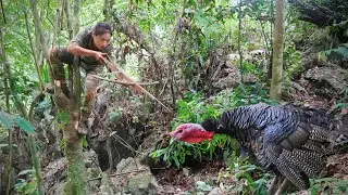 Go to new lands to trap turkeys, skills, trap turkeys, great grilled chicken dishes, survival alone