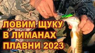 ЛОВИМ ЩУКУ В ЛИМАНАХ // Плавни 2023  /// Рыбалка на Кубани 2023 /// Выпуск № 36