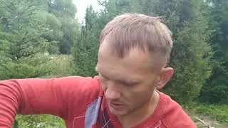 Что нужно чтобы у вас росла форель!