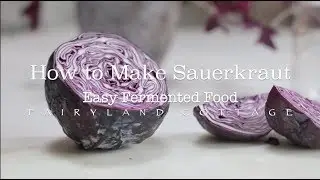 How to Make Sauerkraut - Easy Fermented Food - Healthy Gut