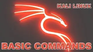 Class 2 - Kali Linux | Basic Commands used in Kali Linux | Linux Operating Commands