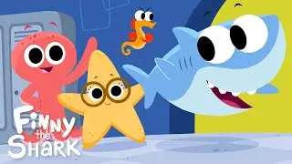 Line Up | Children's Song | Finny the Shark