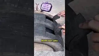 Этот мужик нашел способ не делать из шин лебедей 