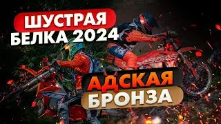 ШУСТРАЯ БЕЛКА 2024 | АДСКАЯ БРОНЗА 